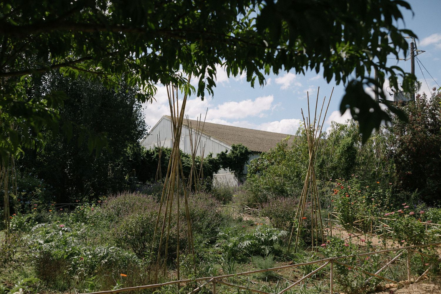 Wedding photographer Christene de Coning at Langskuur in Herbertsdale Mossel Bay. Perfect Hideaways. Beer Adriaanse. Carla Smith