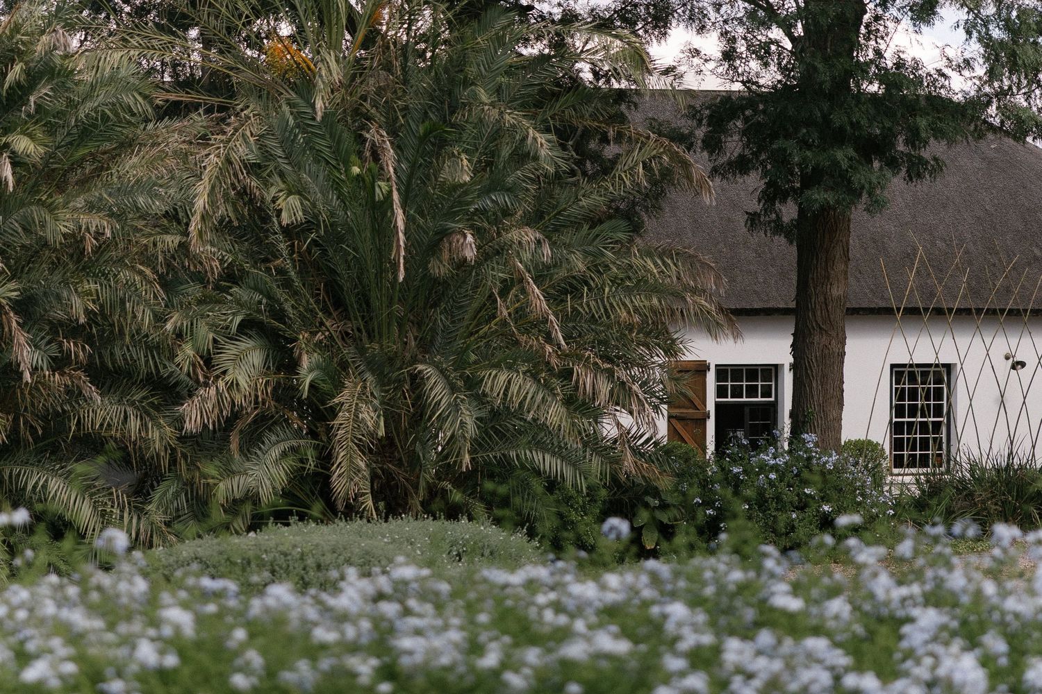 Wedding photographer Christene de Coning at Langskuur in Herbertsdale Mossel Bay. Perfect Hideaways. Beer Adriaanse. Carla Smith