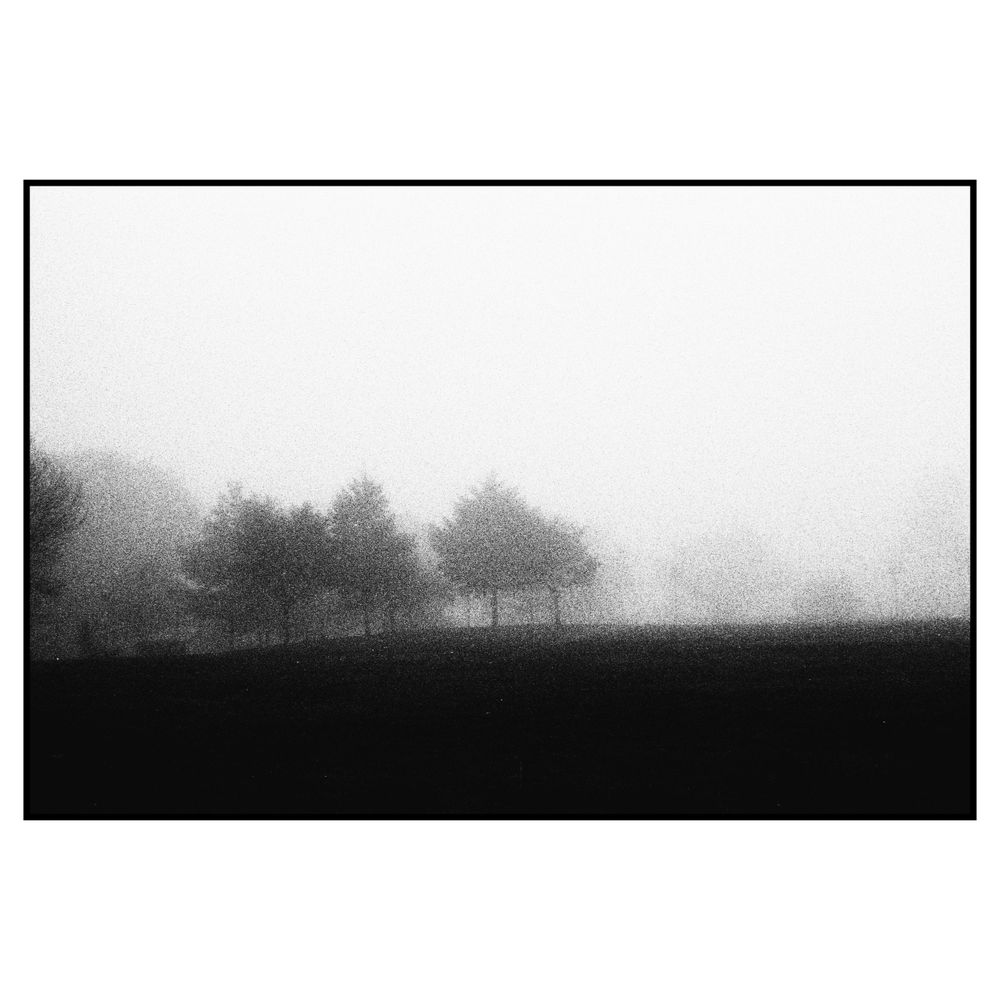 Black and white misty landscape with silhouetted trees in the distance creating a moody atmospheric scene.