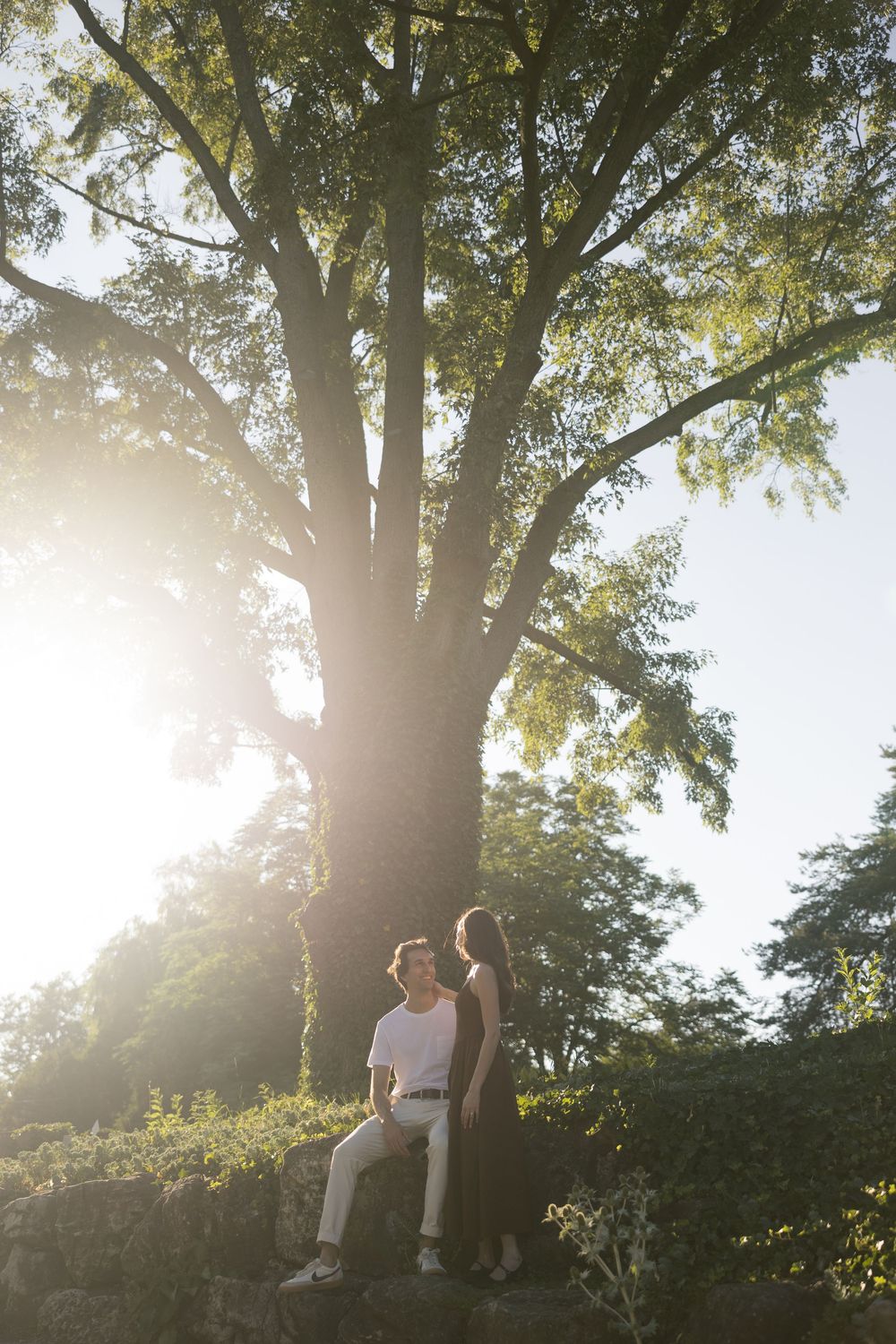 A couple sits together on a hillside against sunlit trees creating a romantic silhouette at sunset.