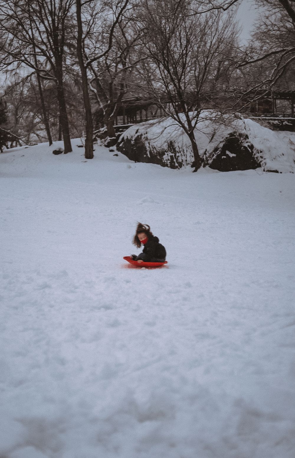 Winter sledding scene in snowy Central Park with bare trees.