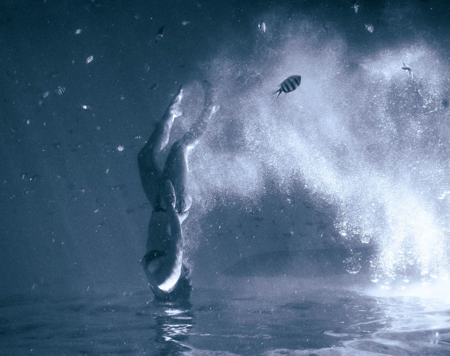 Underwater ocean portrait of woman head above water with a trail of bubbles and fish behind her as she re-surfaces grainy film like photo