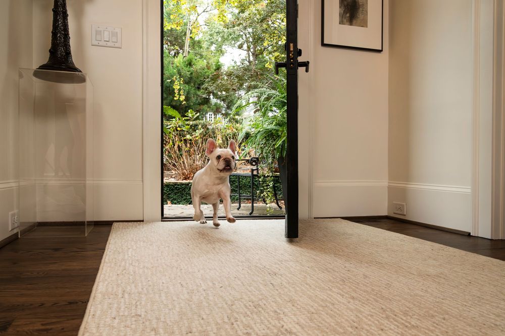 A modern home interior with hardwood floors and white walls features a large window overlooking a sunny garden.