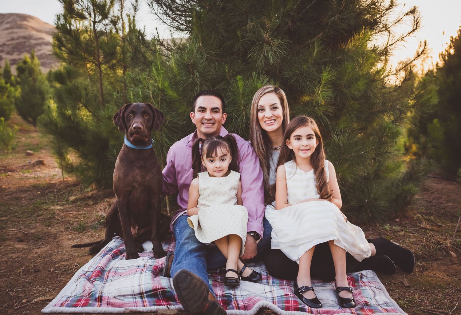 A group sits together on a blanket outdoors among pine trees at sunset with their chocolate Labrador retriever.