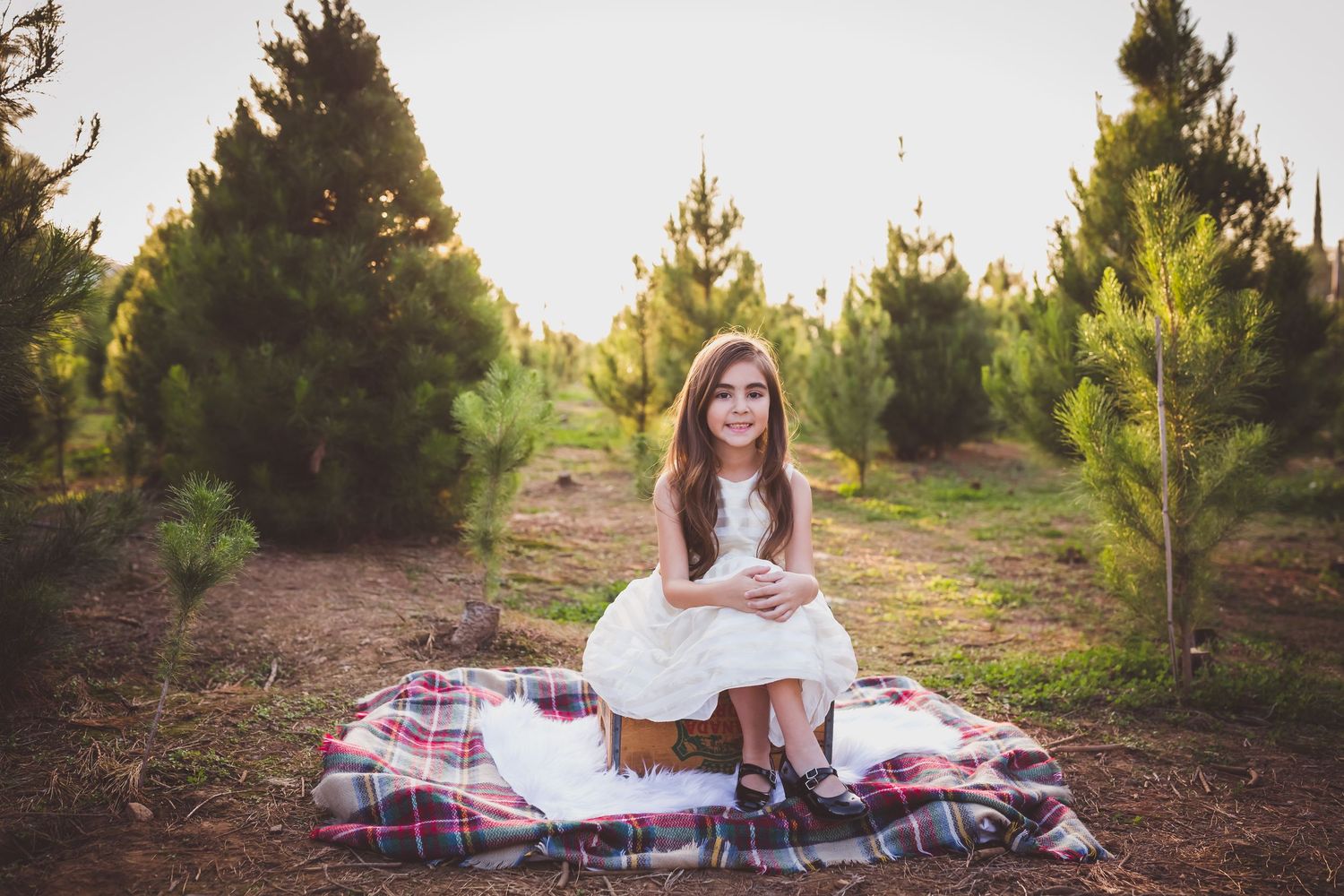 A white dress sits atop a plaid blanket surrounded by evergreen trees in a rustic outdoor setting.