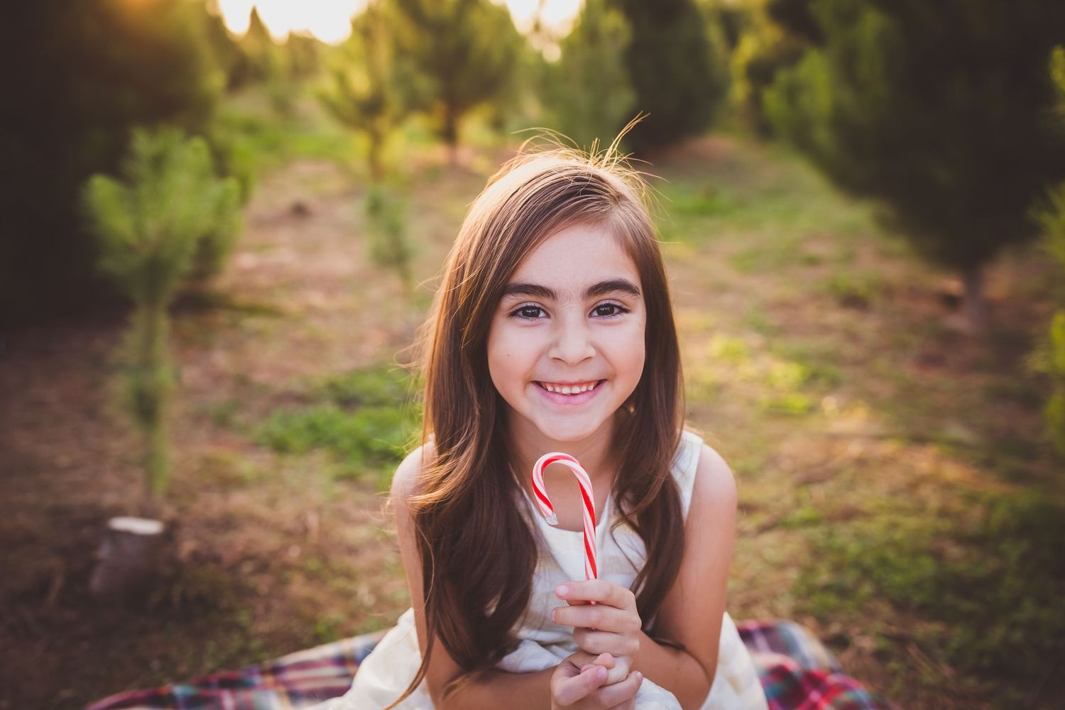 A series of outdoor portraits taken in a natural setting with golden sunlight filtering through trees in the background.