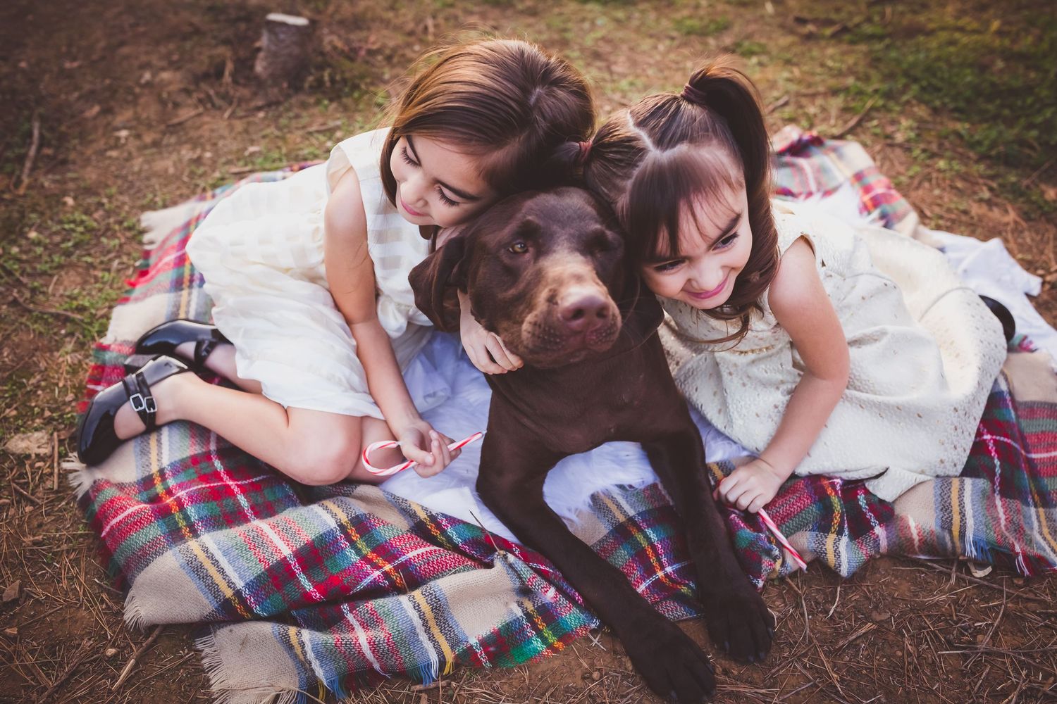 Two people and a brown dog relax together on a plaid blanket outdoors on a fall day.