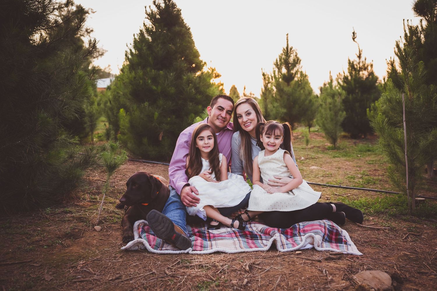 People sit together on a blanket outdoors among evergreen trees for a cozy family portrait session.