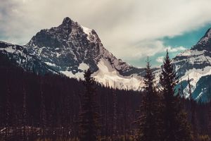 Snow-capped mountain peak rises above dark pine forest under cloudy skies in winter mountain landscape.