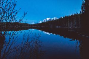 Snow-capped mountains reflect on a calm lake at dusk with dark forest silhouettes lining the shore.