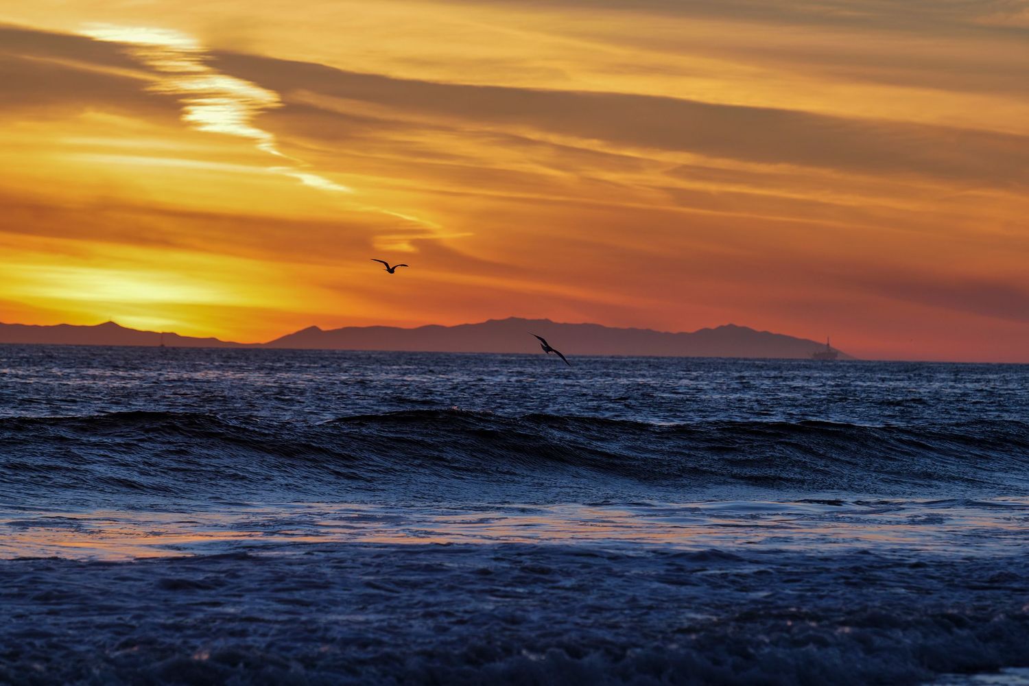 Stunning golden sunset over the ocean with silhouetted birds in flight and distant mountain islands on horizon.