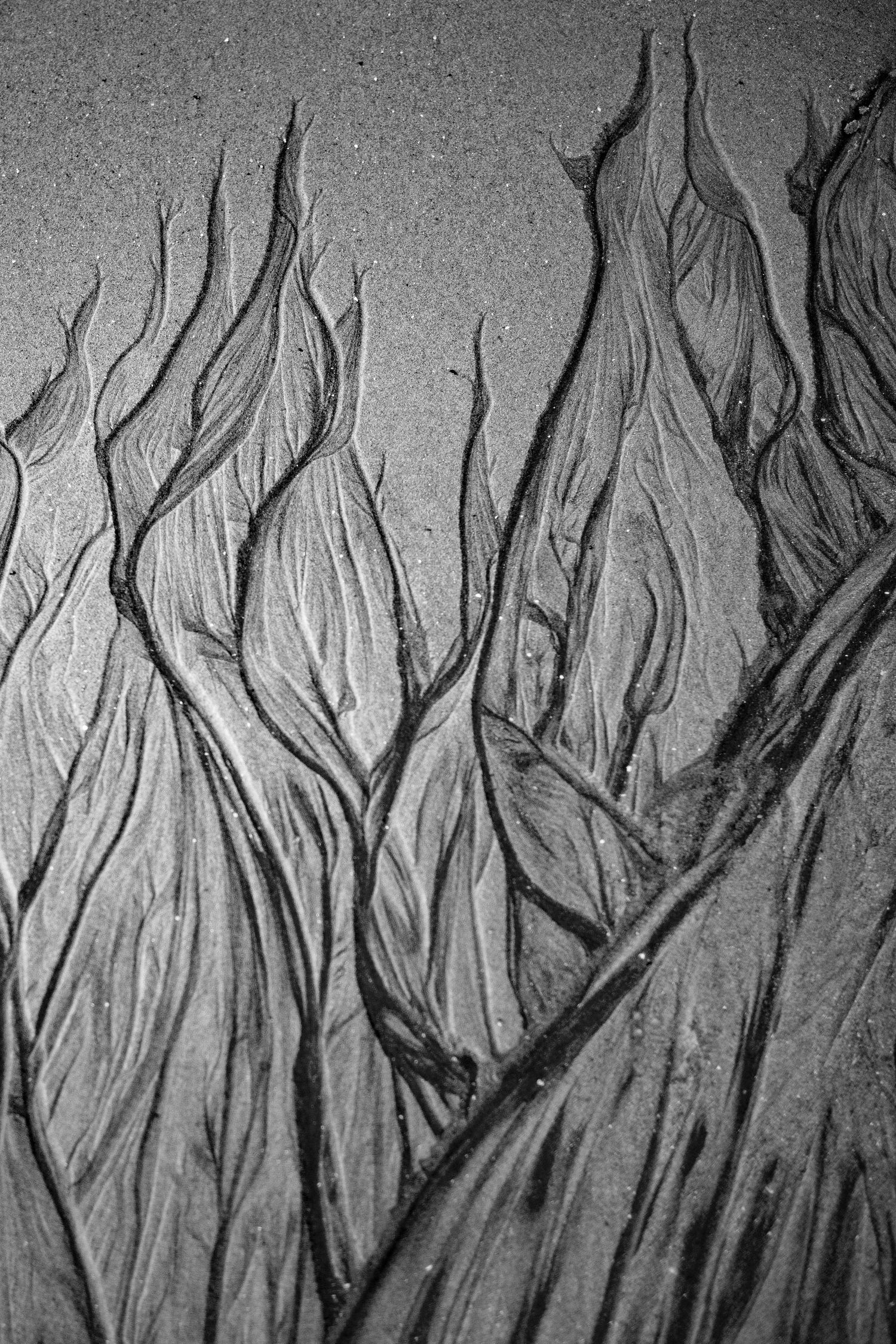 Close-up black and white photo of intricate wave patterns etched into wet beach sand resembling flowing grass or flames.