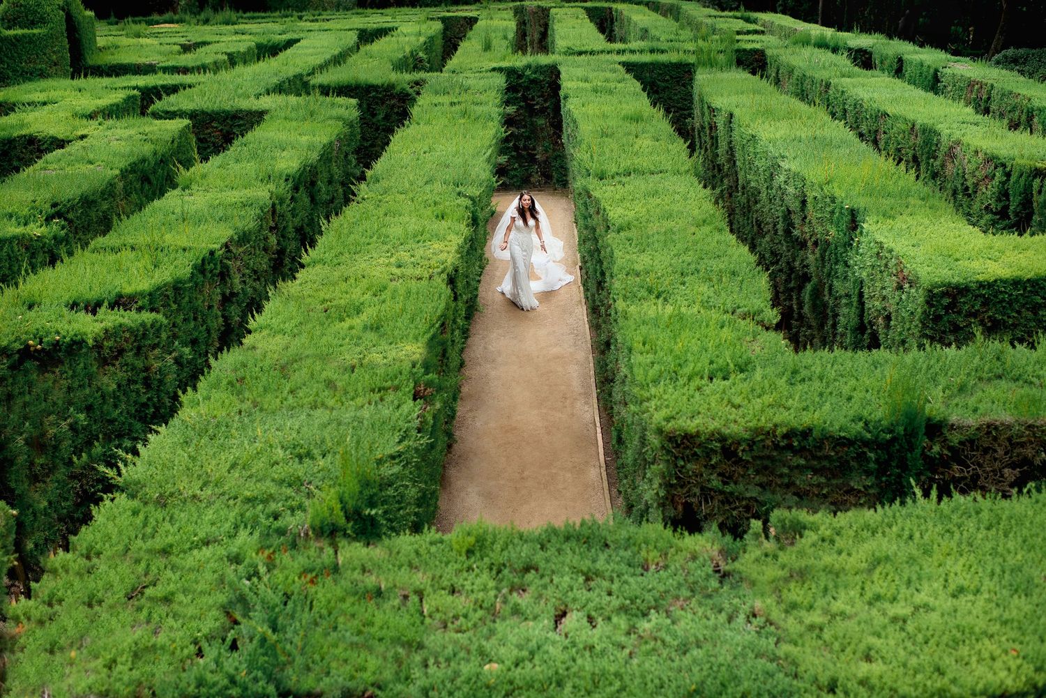 Scenic garden maze with tall green hedges and path leading to distant figures.