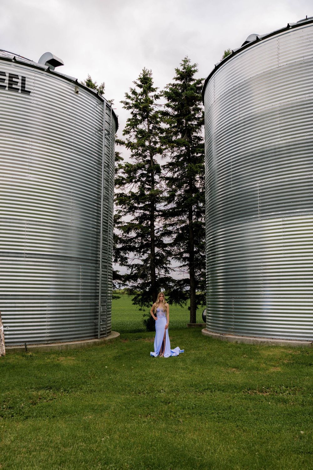 Large silver grain storage bins stand in a row against an evergreen treeline on grassy farmland.
