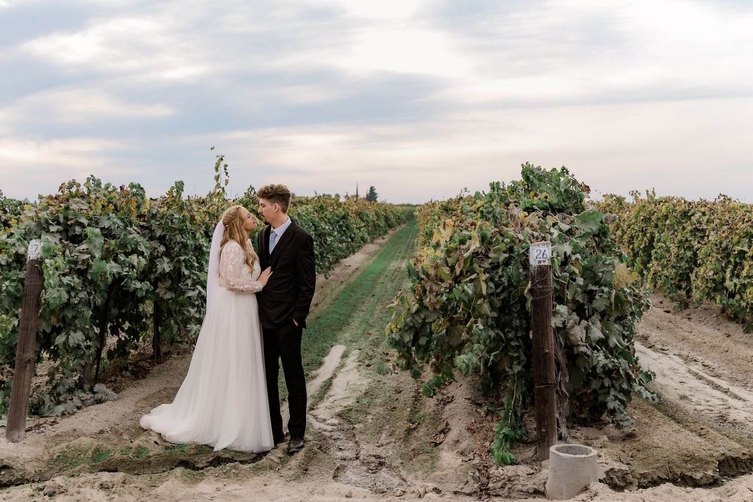 A couple shares a romantic moment in a vineyard during their wedding photoshoot.