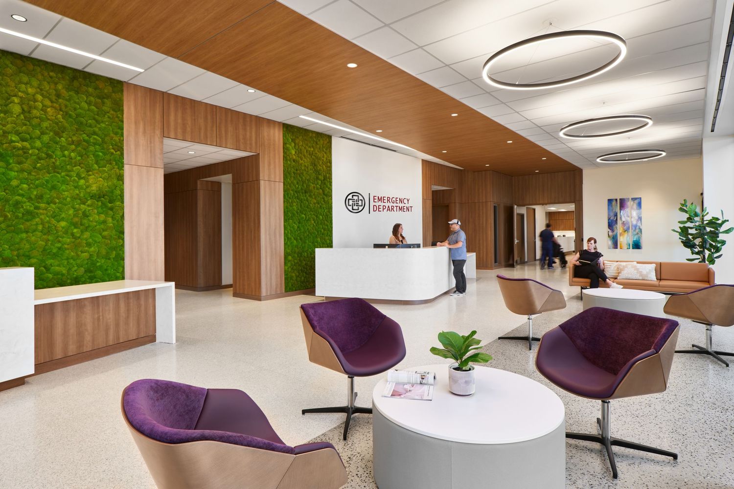 Modern medical office lobby with moss wall, wooden panels, purple chairs, and circular ceiling lights creating a welcoming atmosphere.