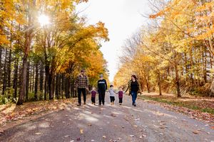 Family of five walking hand-in-hand down a sunlit road lined with golden fall trees.