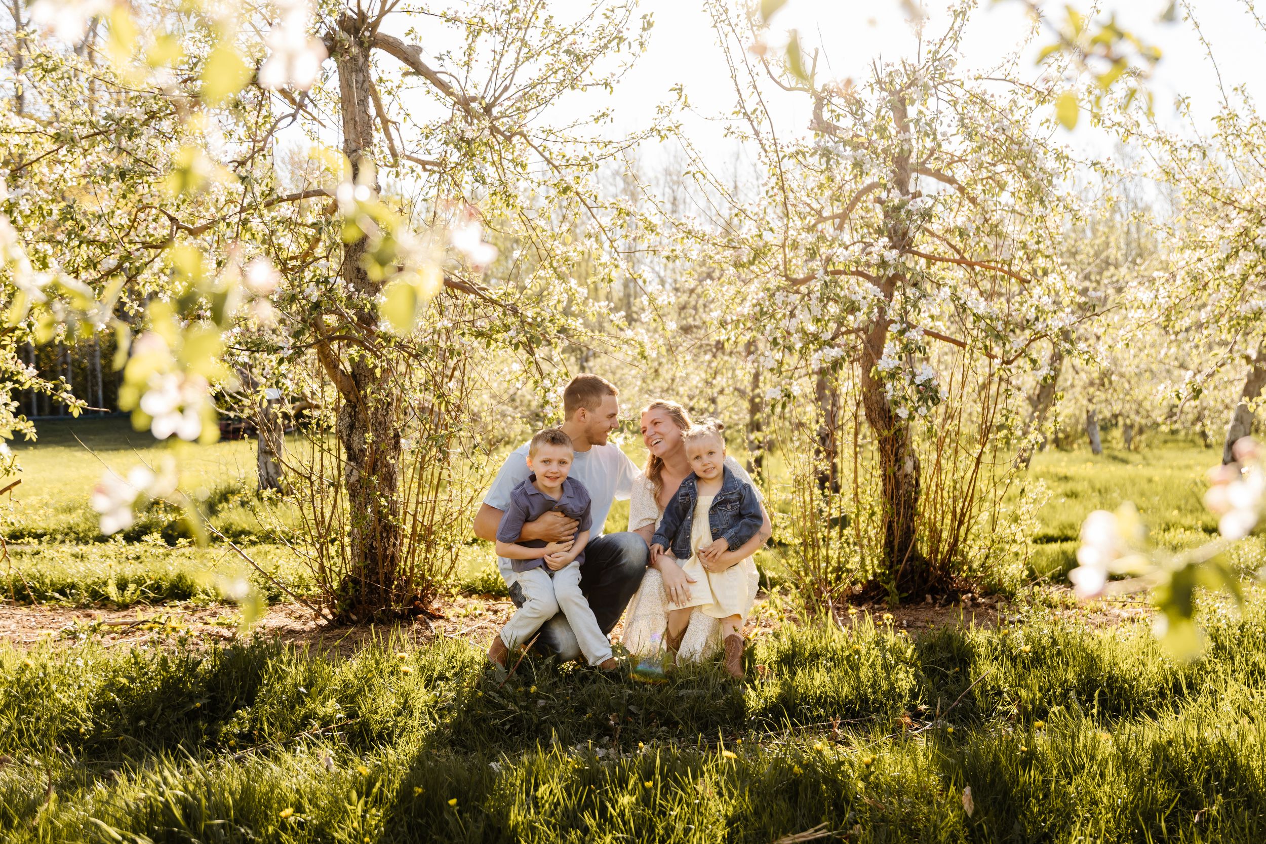 Family sitting together under blooming spring trees in a sunny orchard, enjoying a warm outdoor photo session.