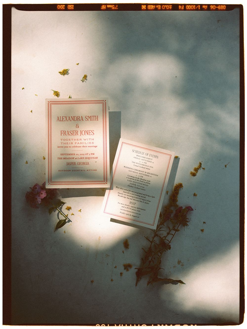 Multiple business cards float against a moody blue cloudy background with scattered leaves and dramatic lighting effects.