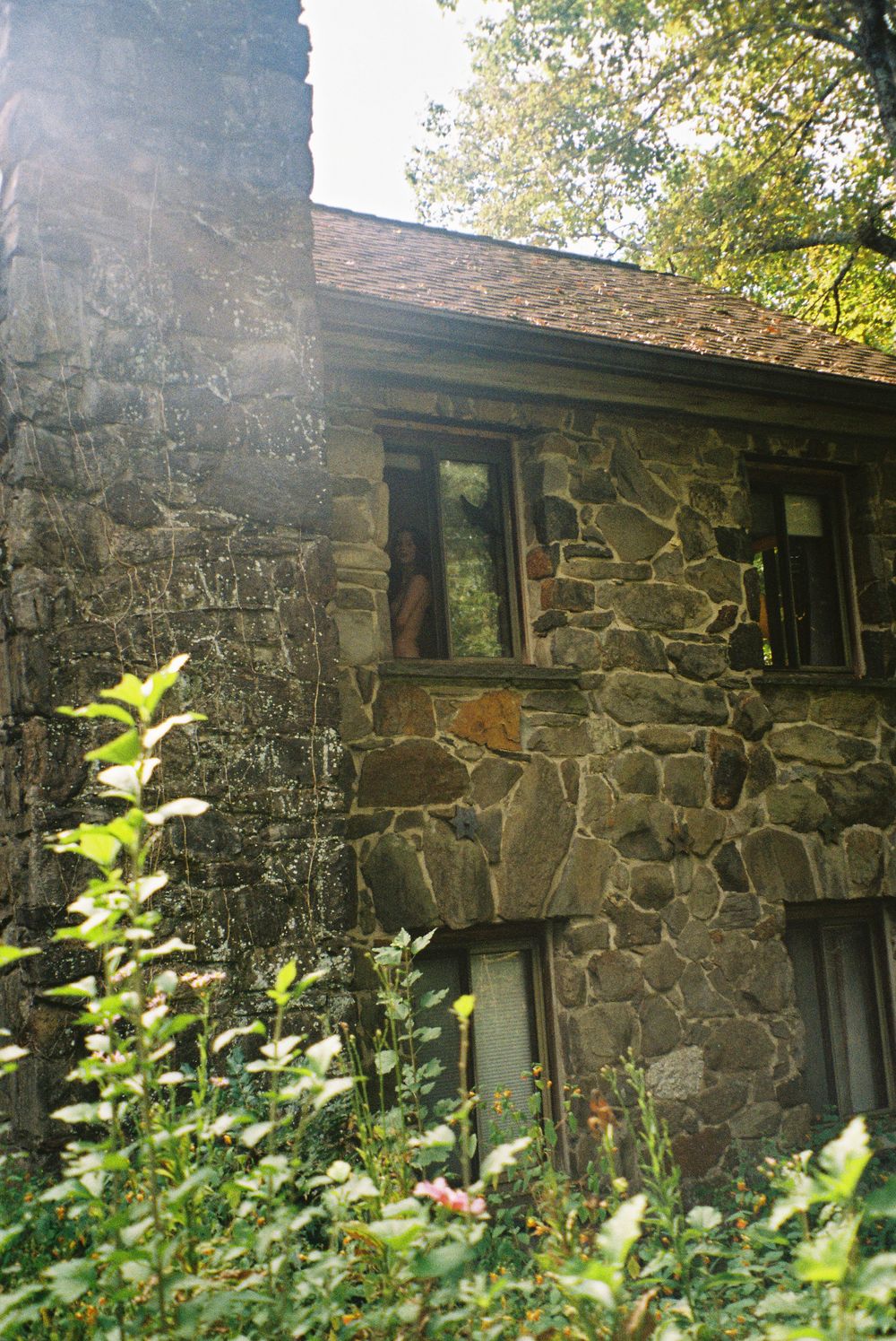 Stone wall exterior of rustic building with windows and lush greenery growing alongside it.