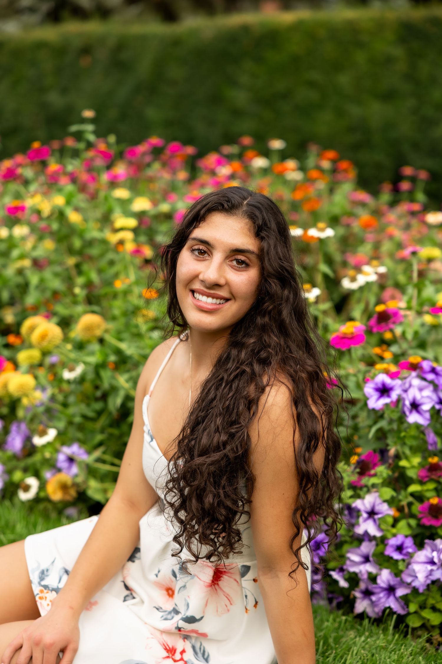 A floral garden scene with colorful blooms including pink, yellow, orange, and purple flowers in full summer display.