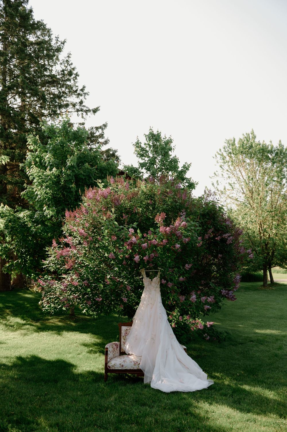 A white wedding dress displayed outdoors among blooming lilac bushes in spring.
