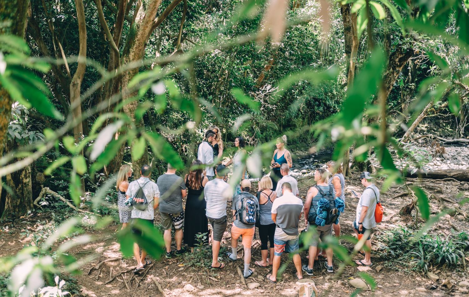 A group of people gather on a forest trail surrounded by lush green foliage.