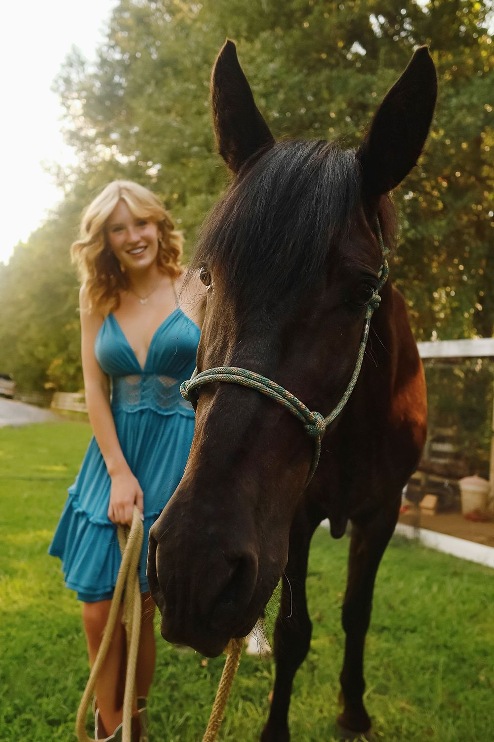 A woman in a teal summer dress stands beside a black horse in a sunlit grassy field.