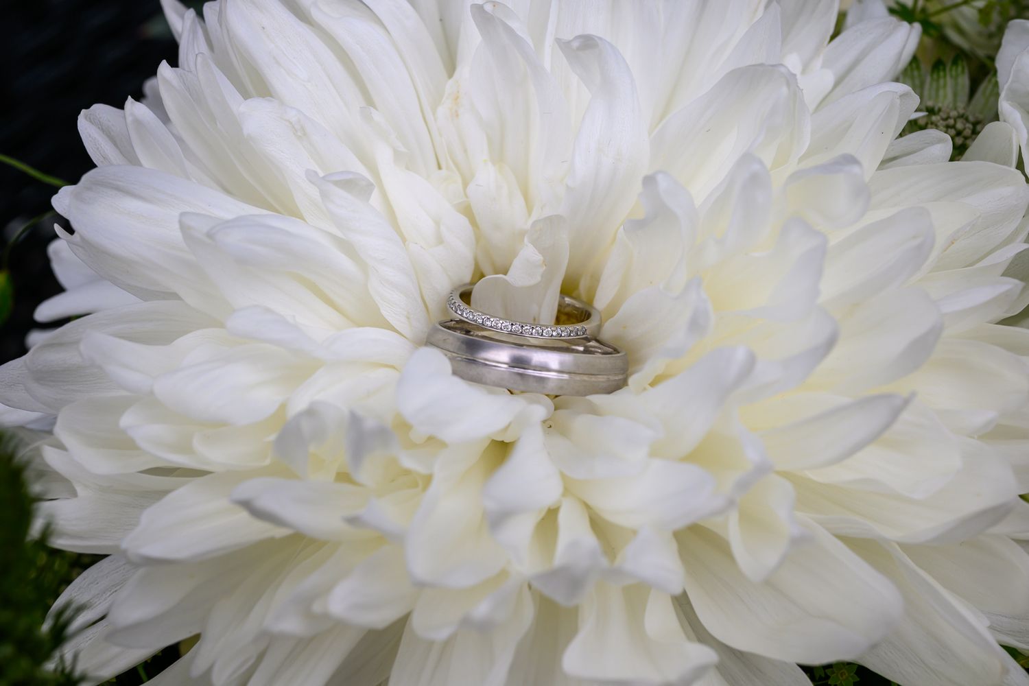 Woodstock Weddings and Events York Wedding Photographer