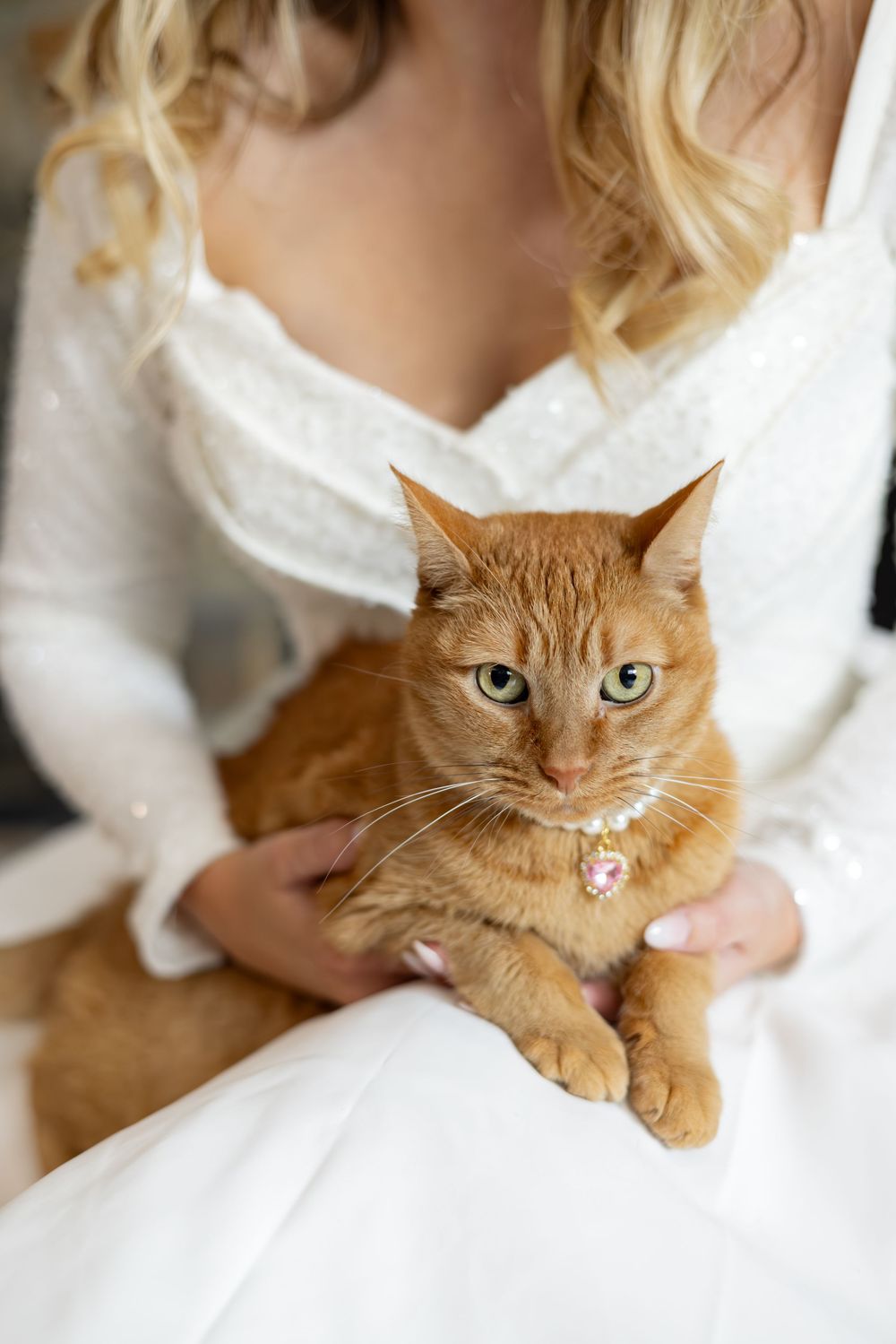 Ginger cat with bright green eyes resting on white fabric.