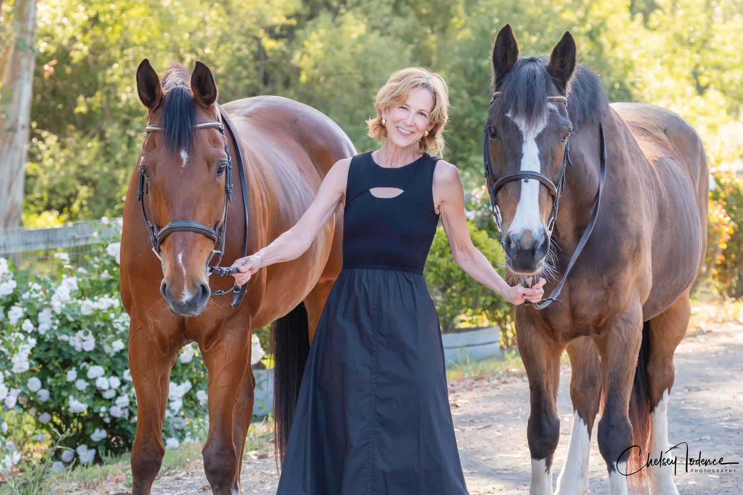 Close-up of horse during family equine photography session at Petaluma CA location in Sonoma County