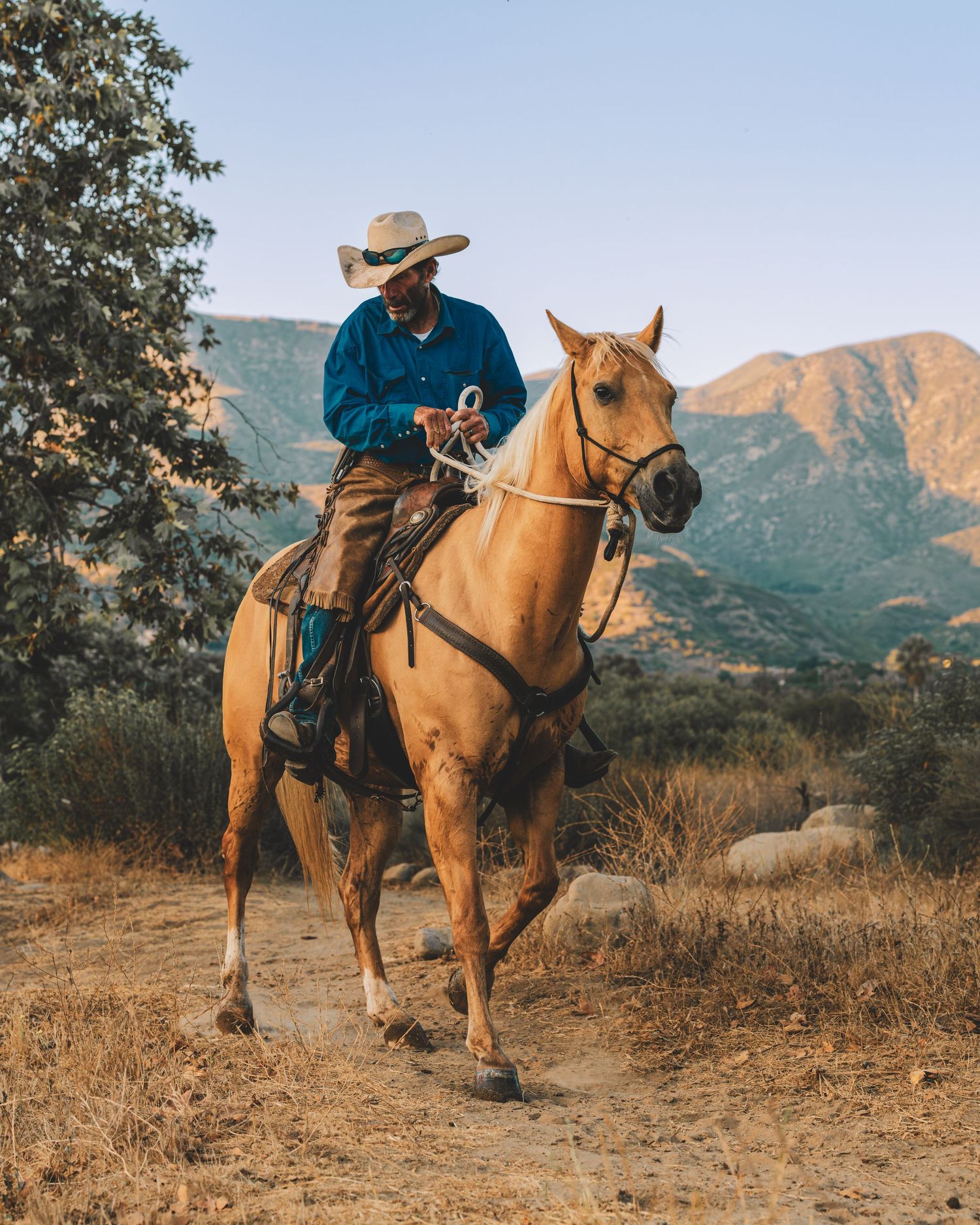 A rider on horseback navigates a dusty mountain trail during golden hour in a scenic wilderness landscape.