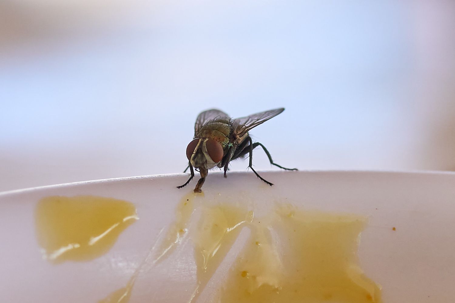 Crop Macro stand Sony RX1 R M3