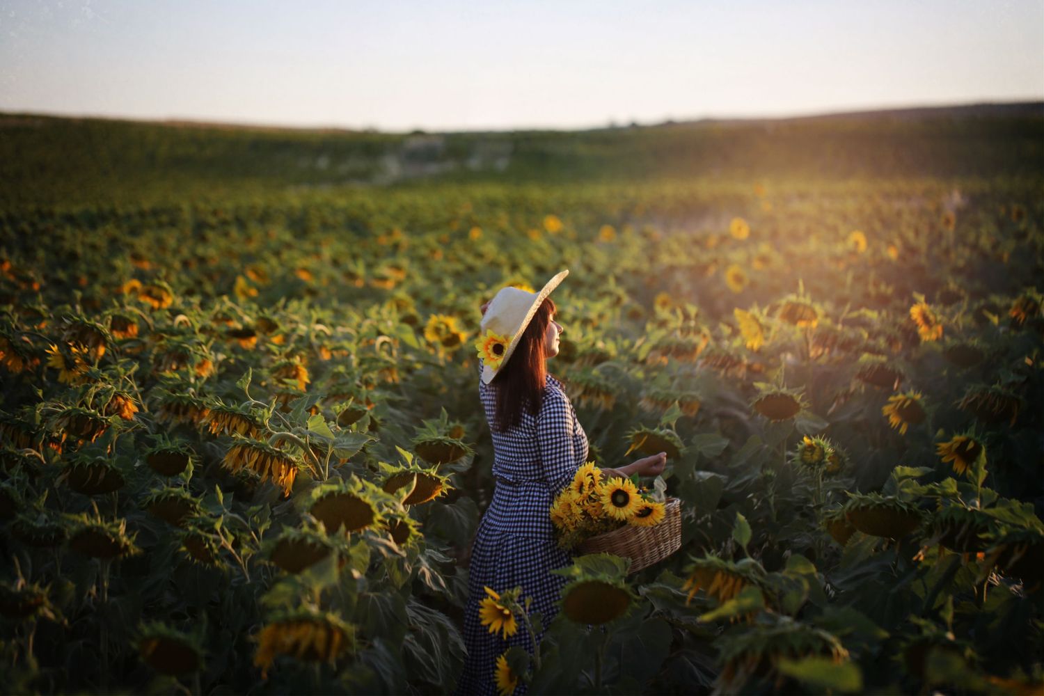 Figure standing in sunflower field at sunset wearing striped dress and hat.