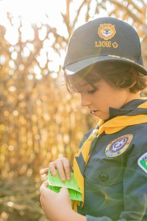 Cub scout in uniform with cap focuses on activity in golden sunlit field.