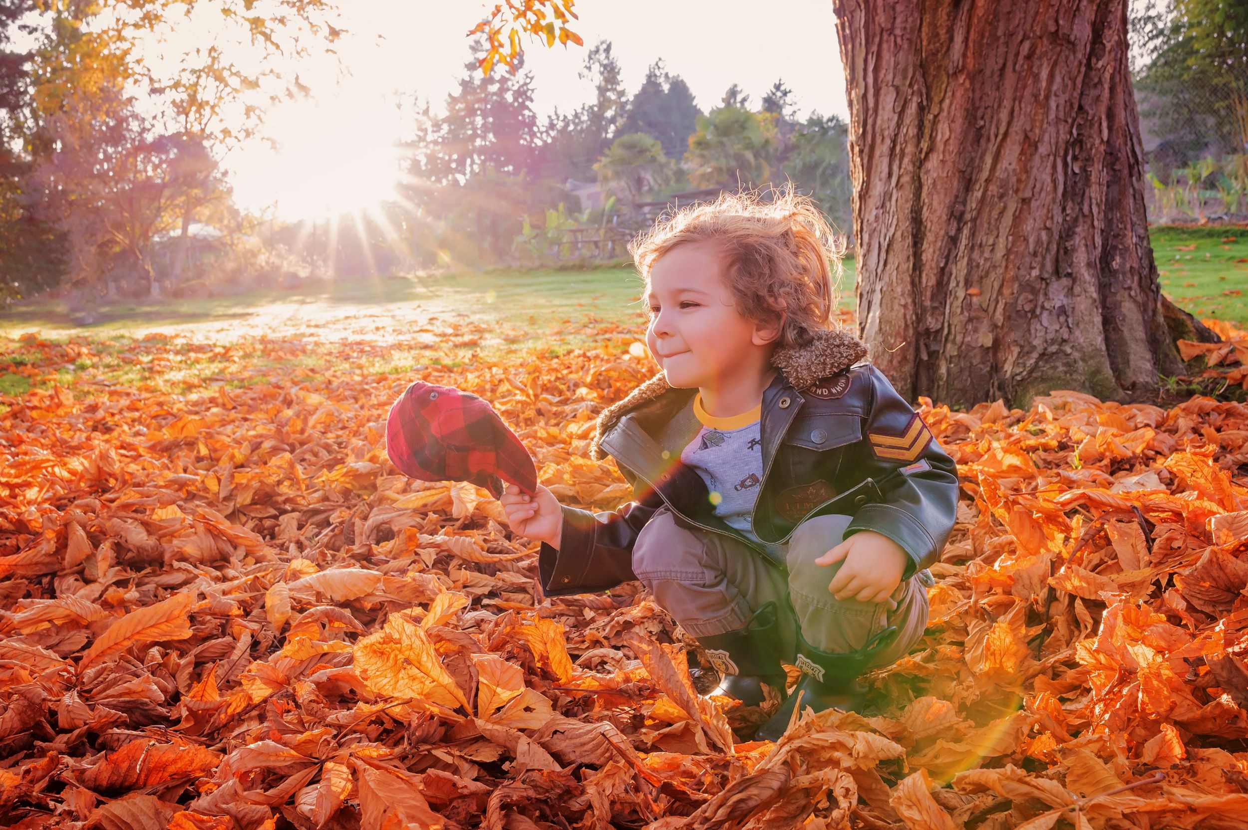 Child plays joyfully in pile of colorful autumn leaves at sunset.