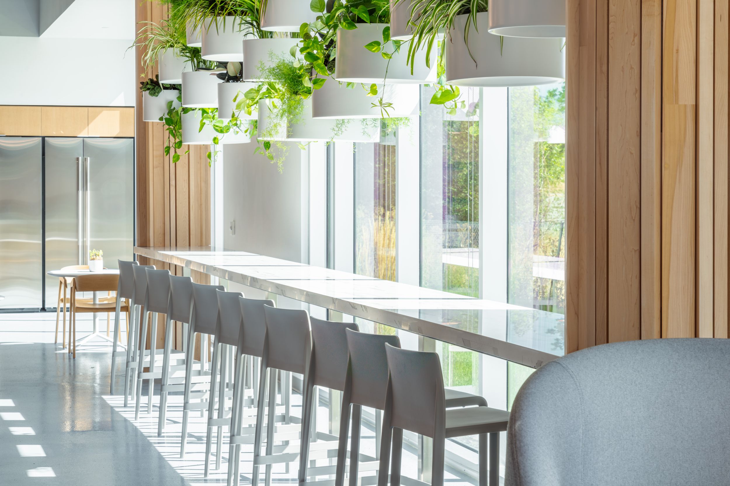 Modern cafeteria interior with grey bar stools along counter seating, large windows, and hanging plants create a bright space.