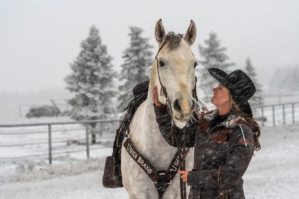 White horse standing in snowy winter landscape with evergreen trees in the background.