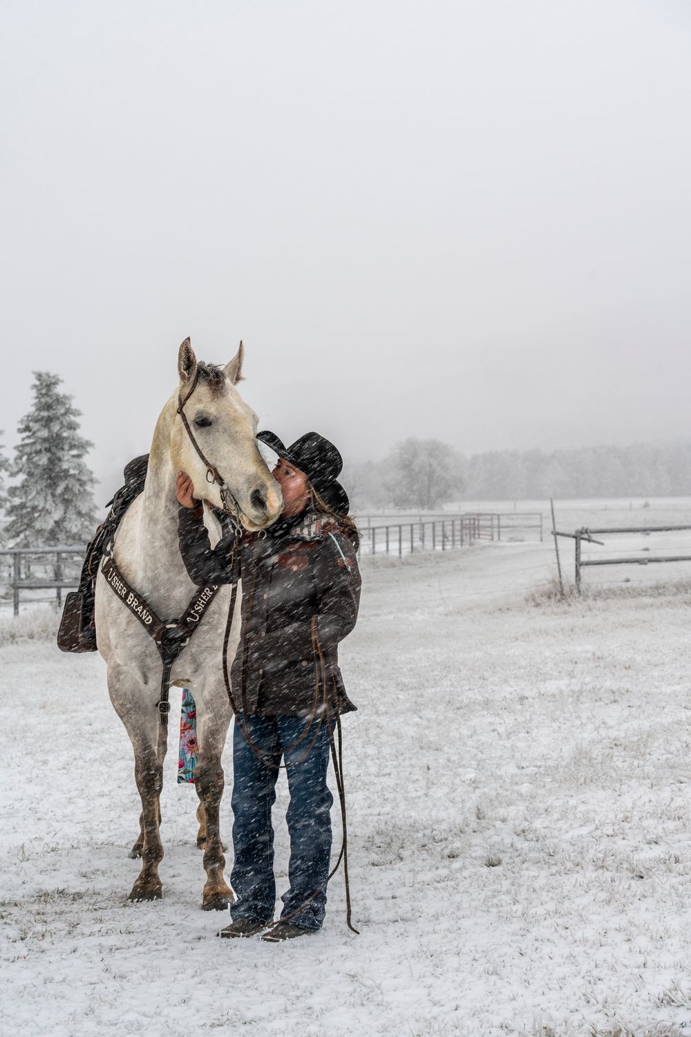 A horse and rider share a tender moment in a snowy winter landscape with wooden fencing in the background.
