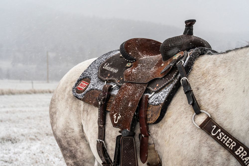 Close-up of a western leather saddle covered in snow on a light-colored horse.