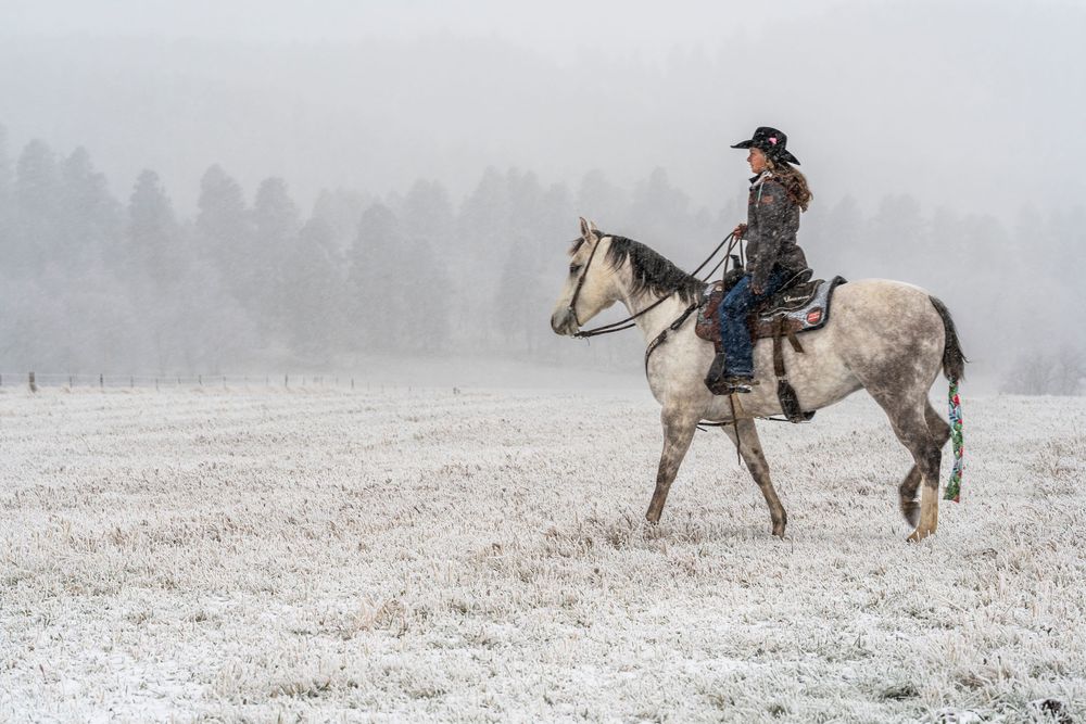 A horse and rider traverse a snow-covered field with misty mountains in the distance.