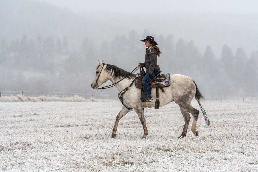 A rider guides their white horse through a wintry landscape during a snowfall.