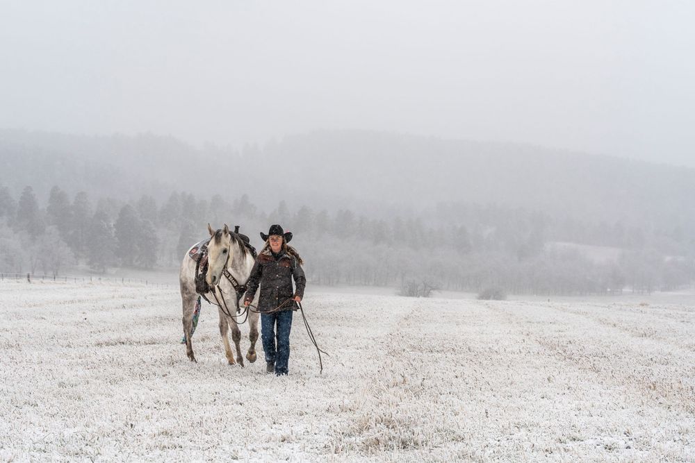A figure leads their horse through a misty winter landscape with snow-covered ground.