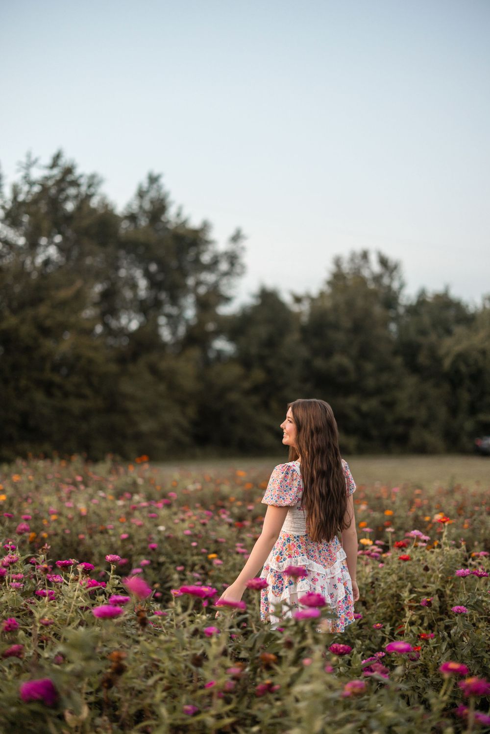 Woman in floral dress walks through vibrant pink flower garden on summer evening with trees in background.