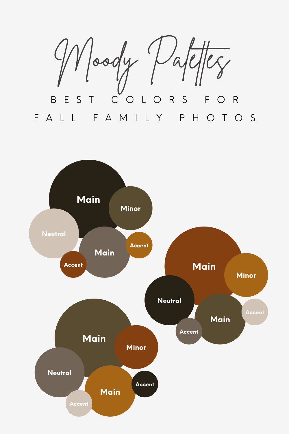 Color palette in brown, beige and neutral tones showing coordinated color combinations for moody fall family photos.