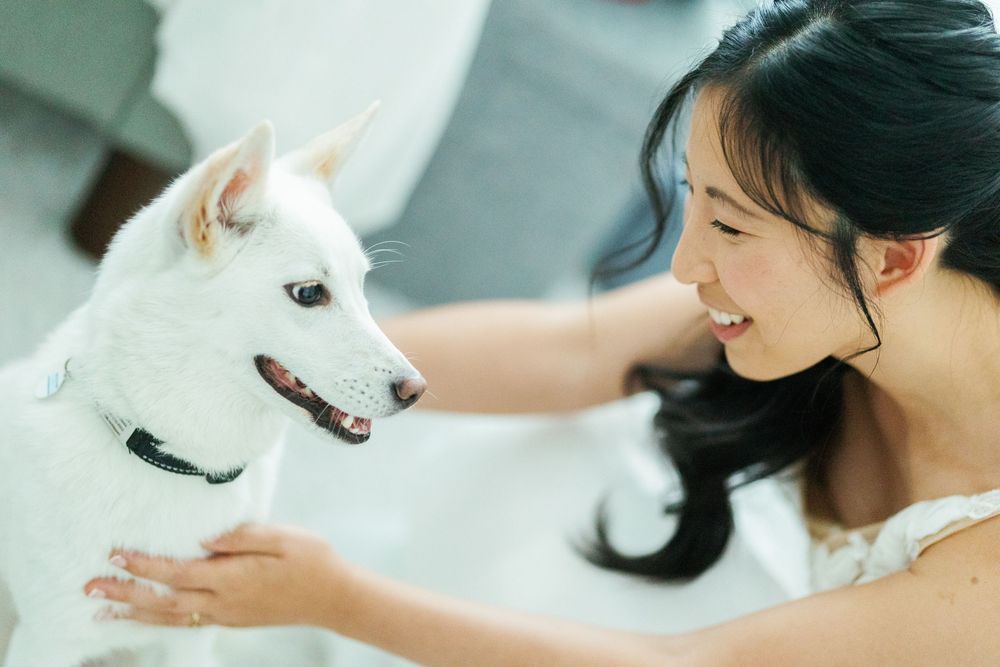 A smiling woman in a black dress stands next to an adorable brown and white border collie dog.