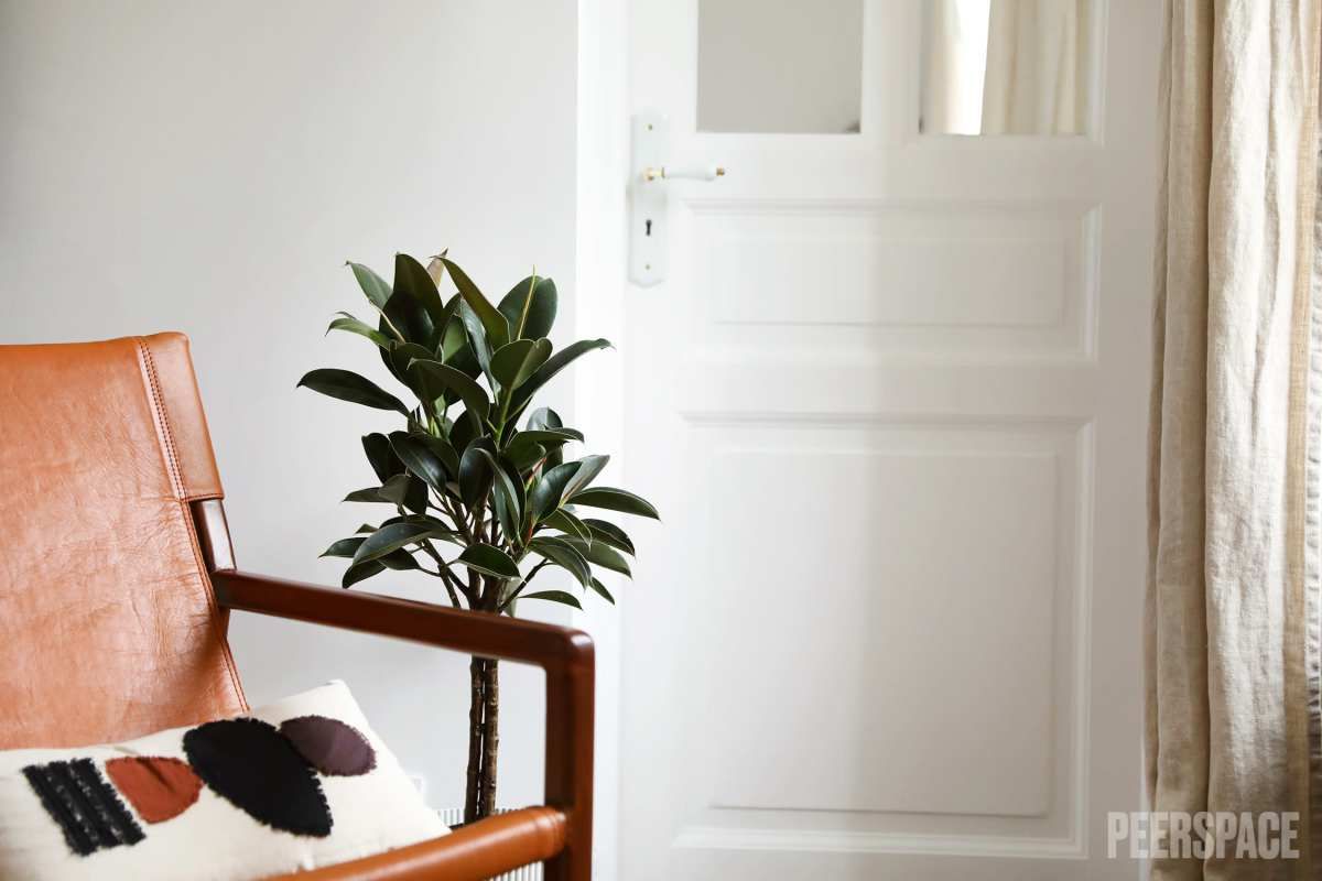 Portrait professionnel dans un studio à l’ambiance scandinave, avec lumière douce, mobilier en bois clair et teintes chaleureuses, reflétant