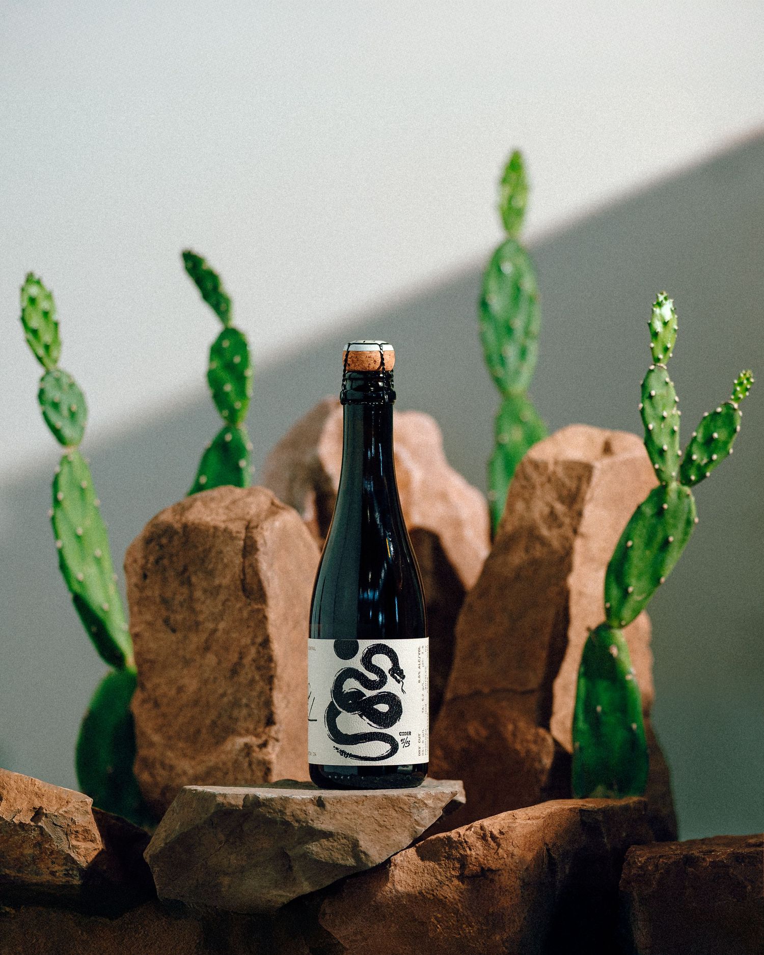 A dark glass bottle stands elegantly among rocks and green asparagus spears in a minimalist desert-inspired scene.