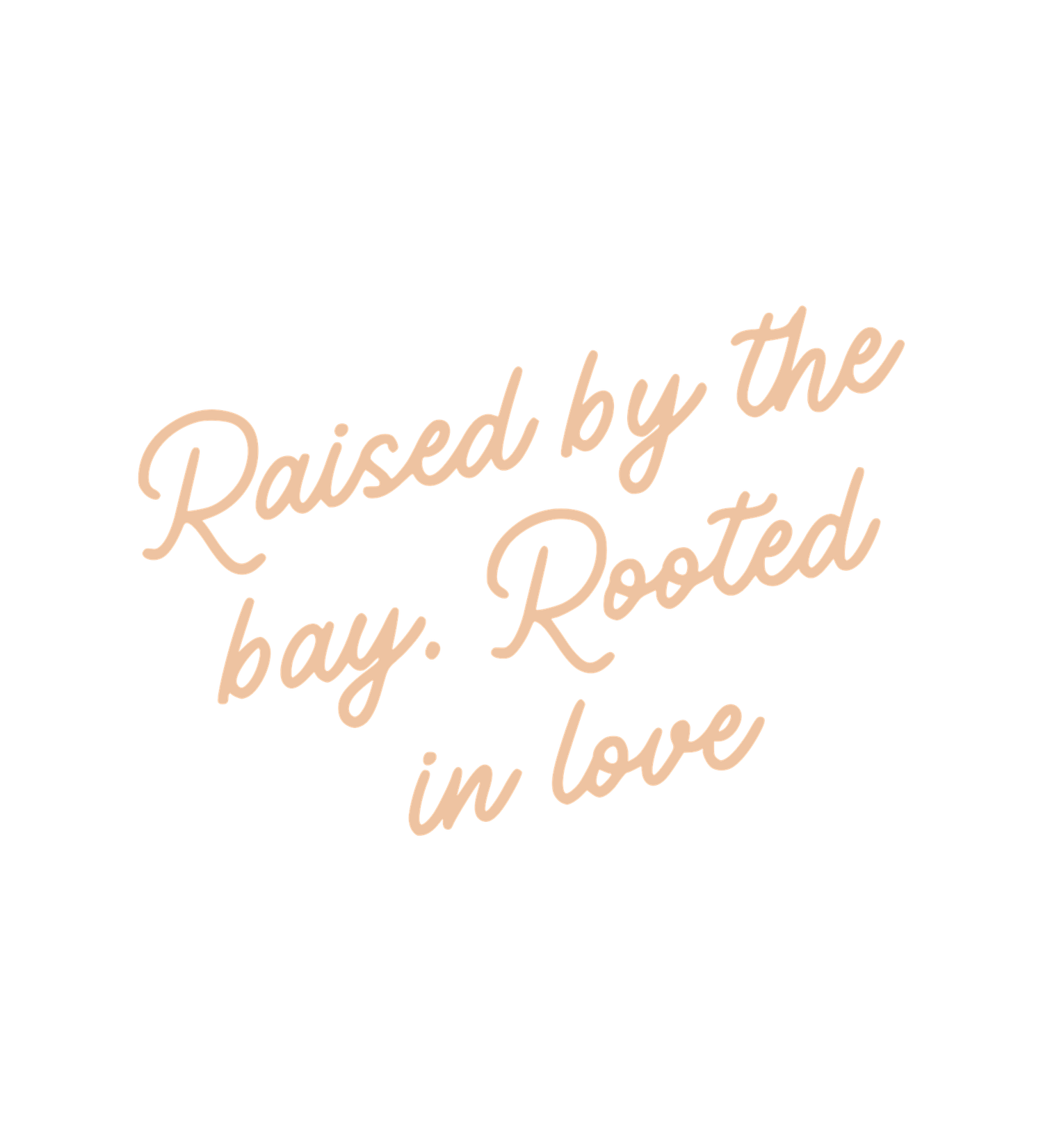 Light blue cursive text reading 'Soft Skies, Strong Roots' on a white background.