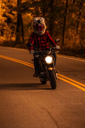 A bear mascot wearing a red plaid shirt rides a motorcycle on a winding autumn road at dusk with headlight glowing.